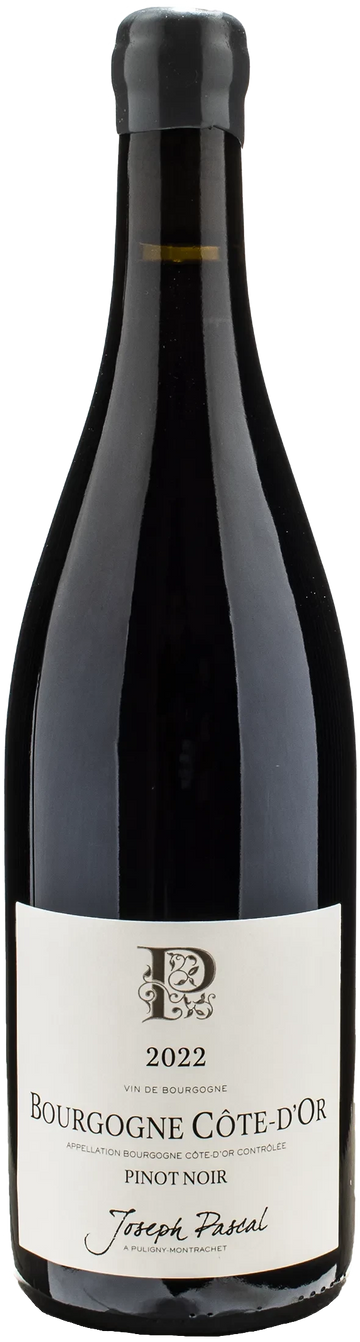 Joseph Pascal Pinot Noir Bourgogne Cote D'Or 2022 (1x75cl)
