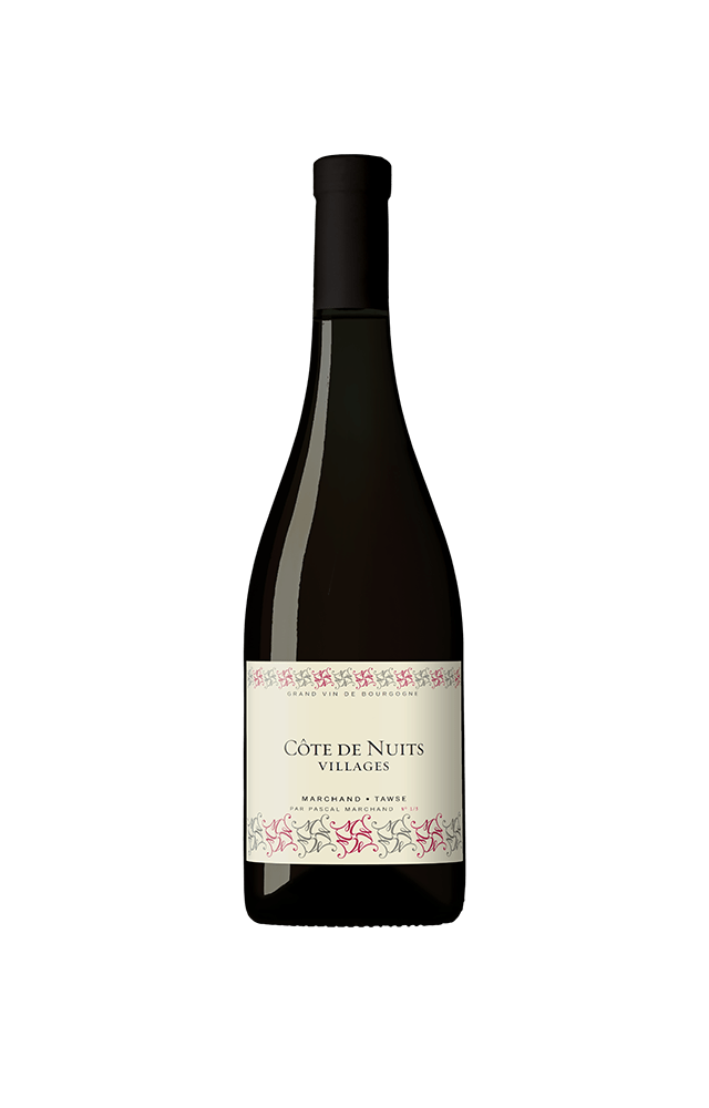 Maison Marchand Tawse Cote de Nuits Villages 2019 (1x75cl) - TwoMoreGlasses.com