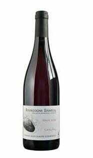 Domaine Jean Claude Courtault Bourgogne Epineuil 2018 (1x75cl) - TwoMoreGlasses.com