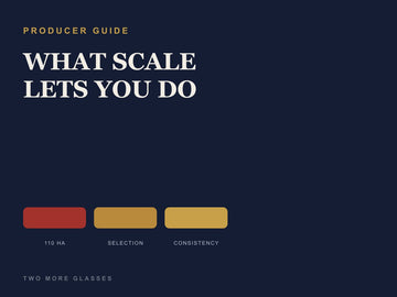 Dark navy cover titled "WHAT SCALE LETS YOU DO" with colour swatches, Two More Glasses producer guide article