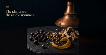 Juniper berries, coriander seed, angelica root and citrus peel before a copper still — The plants are the whole argument