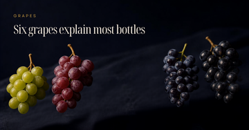 Four bunches of wine grapes from pale green to near black on dark linen — Six grapes explain most bottles