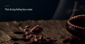 Red wine in a decanter with grape skins and seeds on dark stone — That drying feeling has a name