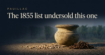 A weathered stone urn beside scattered Pauillac gravel and a coiled length of rusted chain, morning fog over distant vine rows — The 1855 list undersold this one