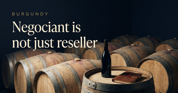 Stacked oak barrels of different ages crowd a cellar floor, an unlabelled bottle and a wax sealed ledger on the nearest barrel head — Negociant is not just reseller