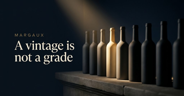 A row of unlabelled bottles from different years along a stone ledge, one lit by low autumn light, the rest in shadow — A vintage is not a grade