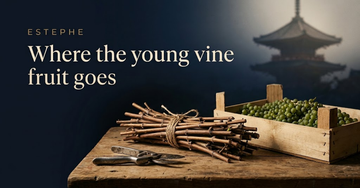 Young grafted vine cuttings bundled beside secateurs and a shallow crate of small green grapes, a pagoda roofline blurred behind — Where the young vine fruit goes