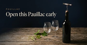 A corkscrew mid turn in an open unlabelled bottle, two empty glasses waiting beside a young vine cutting on weathered wood — Open this Pauillac early