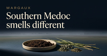 A shallow dish of dark alluvial soil beside crushed wild herbs and river reeds, faint mist rolling across flat fields — Southern Medoc smells different