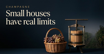 A handful of grapes filling a small wicker basket beside a modest hand press, a single vine row fading into fog — Small houses have real limits