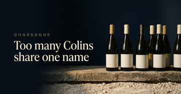 A row of unlabelled wine bottles on a stone shelf above a pale chalky soil sample in low afternoon light — Too many Colins share one name