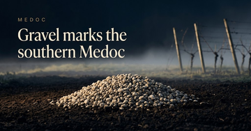 A mound of pale round gravel stones resting on dark earth, river mist beyond a bare wooden vine trellis — Gravel marks the southern Medoc