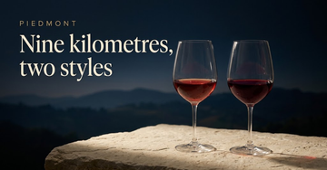 Two glasses of red wine with differing garnet hues side by side on pale stone, hazy hills silhouetted behind — Nine kilometres, two styles