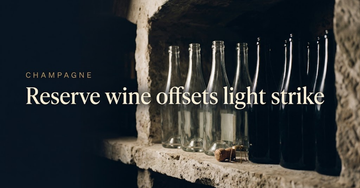 A row of clear glass Champagne bottles beside opaque dark ones on a chalk cellar shelf, a narrow shaft of light crossing — Reserve wine offsets light strike