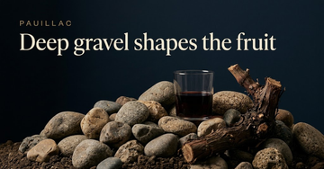 Large water worn gravel stones piled beside a cut vine root with dark clay visible beneath — Deep gravel shapes the fruit