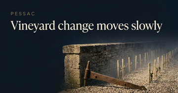 A weathered stone moat wall beside young grafted vine stakes and an old iron gate hinge, morning mist over gravel rows — Vineyard change moves slowly
