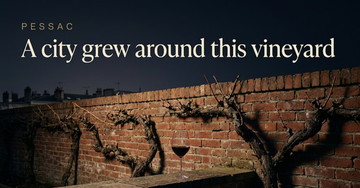 Old vine rows pressed against a red brick urban wall with faint rooftops in the distance — A city grew around this vineyard