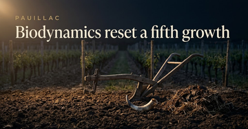 A wooden horse drawn plough resting between vine rows with a cow horn and compost pile nearby in low dawn light — Biodynamics reset a fifth growth