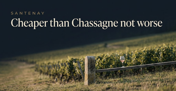 A hillside vineyard row on a gentle slope with a simple stone marker post and a glass of pale red wine on a fence rail — Cheaper than Chassagne not worse