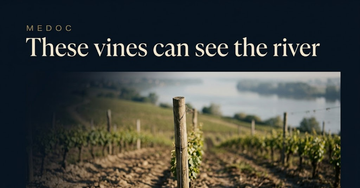 A gentle vineyard slope descending toward a wide river in the distance, morning haze over the water — These vines can see the river