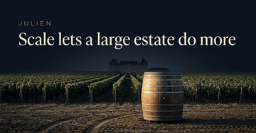 Wide rows of uniform vines stretching toward a distant chateau silhouette, a large wooden fermentation vat in front — Scale lets a large estate do more