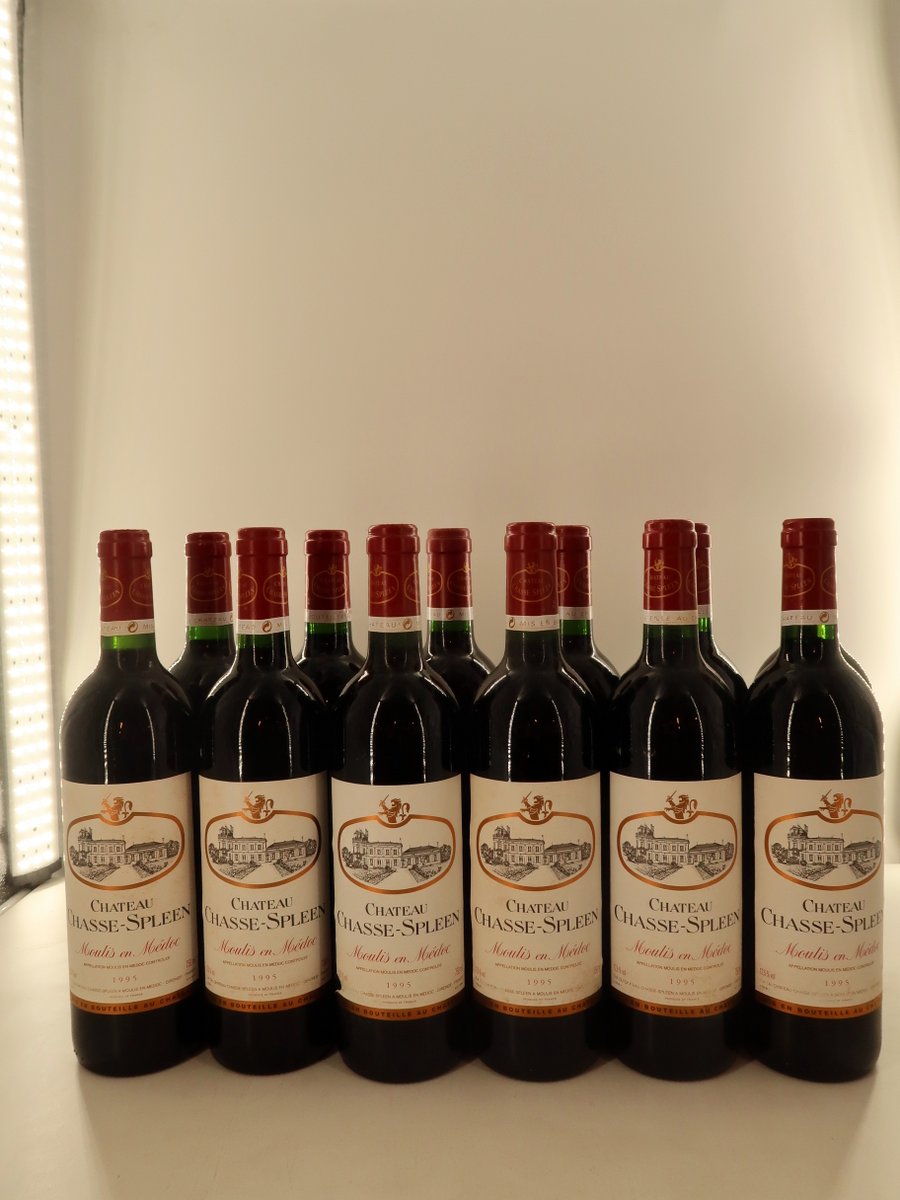Chateau Chasse Spleen 1995 (1x75cl)