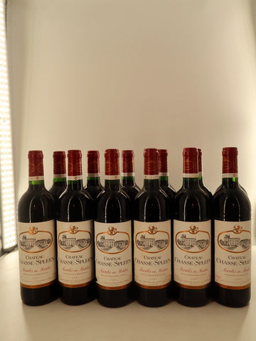 Chateau Chasse Spleen 1995 (1x75cl)
