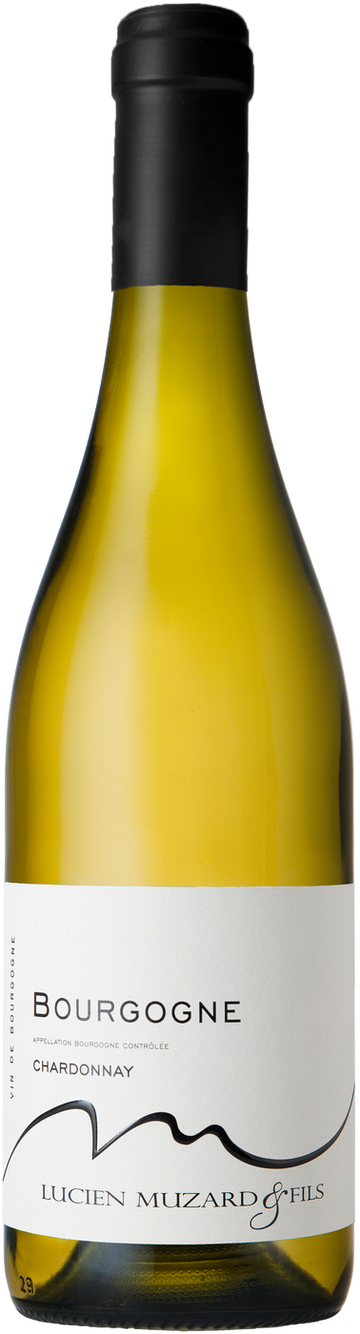 Domaine Muzard 勃根地白酒 2022 (1x75cl)