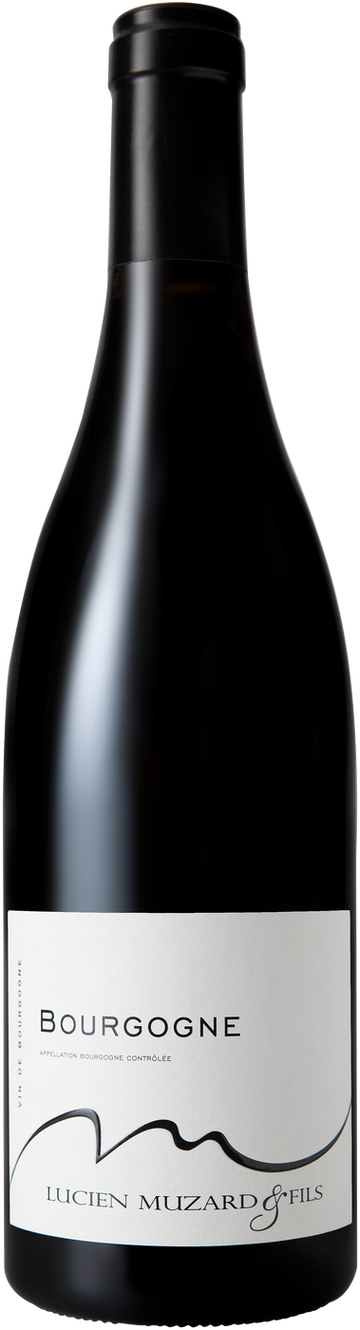 Domaine Muzard Bourgogne Pinot Noir 2024 (1x75cl)