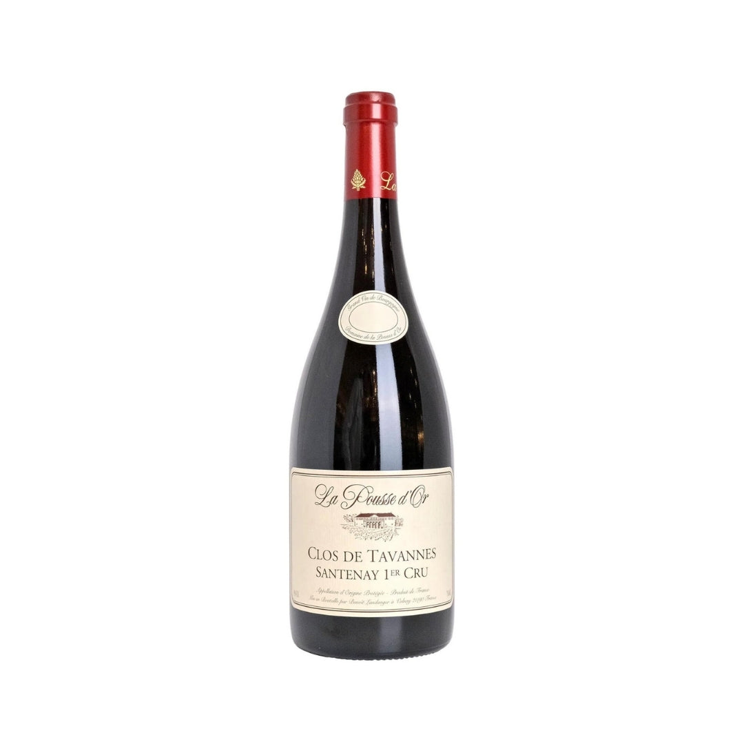 La Pousse D'Or Domaine De La Pousse D'Or Santenay Clos Des Tavannes 1Er Cru 2020 (1x75cl) TwoMoreGlasses.com- Two More Glasses