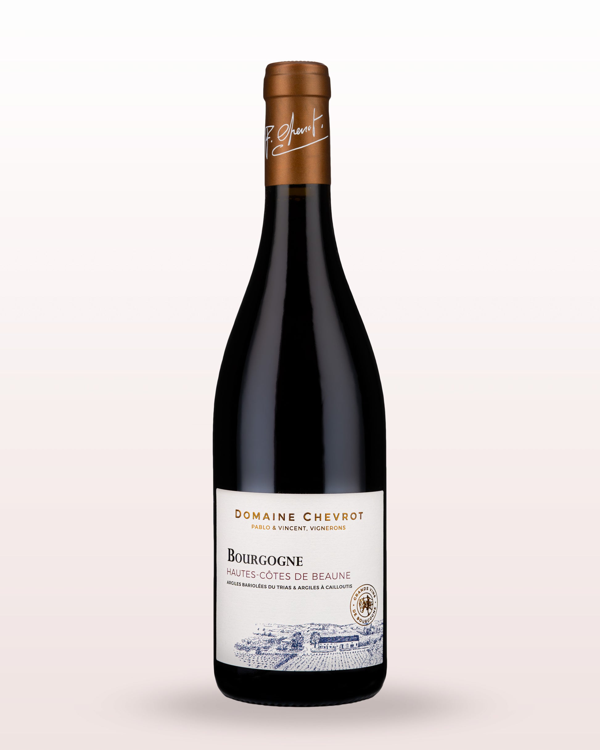 Domaine Chevrot Bourgogne Hautes Cotes de Beaune 2015 (1x75cl) TwoMoreGlasses.com- Two More Glasses