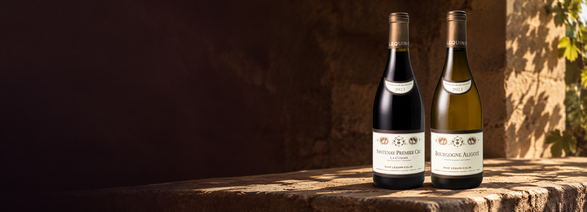 Domaine René Lequin-Colin red and white Burgundy wines in a shaded limestone cellar