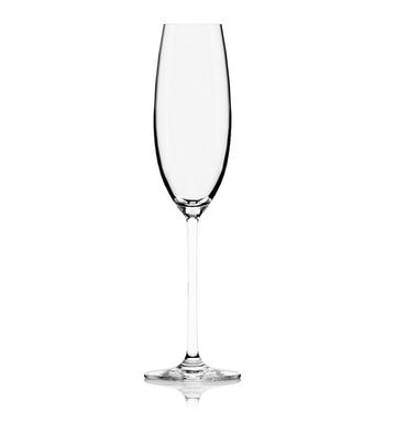 Lucaris Lavish Champagne Glass (1x24.5cl) - TwoMoreGlasses.com