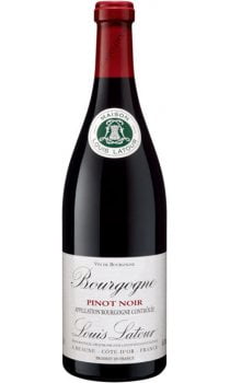 Louis Latour Bourgogne Pinot Noir 2020 (1x75cl) - TwoMoreGlasses.com
