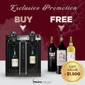 MAITRE DE VIN® SMART MULTI-FUNCTION WINE COOLER AND DISPENSER - TwoMoreGlasses.com