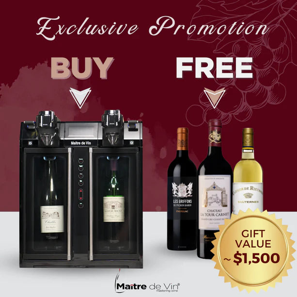 MAITRE DE VIN® SMART MULTI-FUNCTION WINE COOLER AND DISPENSER - TwoMoreGlasses.com