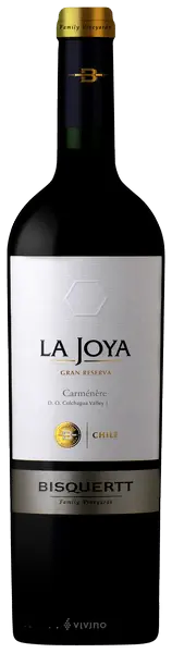 Bisquertt Family Vineyards La Joya Carmenere Gran Reserva 2020 (1x75cl) - TwoMoreGlasses.com