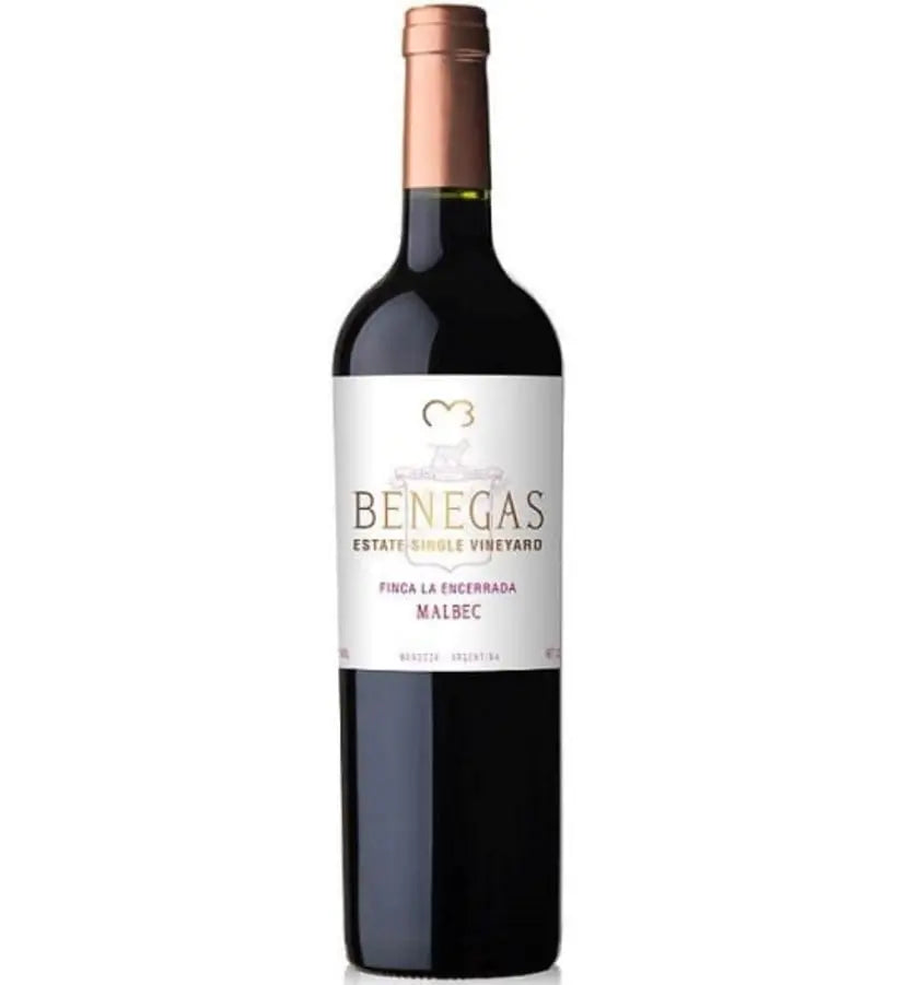 Bodegas Benegas Estate Single Vineyard Malbec 2018 (1x75cl) - TwoMoreGlasses.com