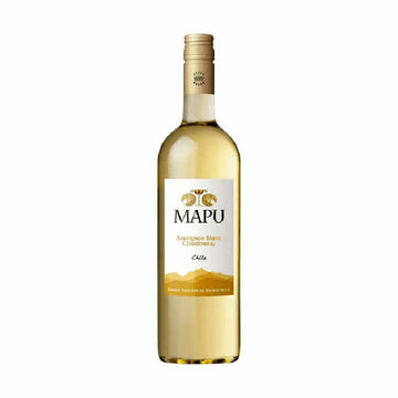 B.P.R.Mapu Sauvignon Blanc 2019 (1x75cl) - TwoMoreGlasses.com