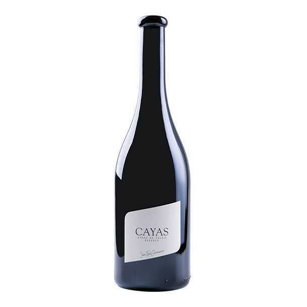 Domaine Jean-Rene Germanier Cayas Syrah 2018 (1x75cl)