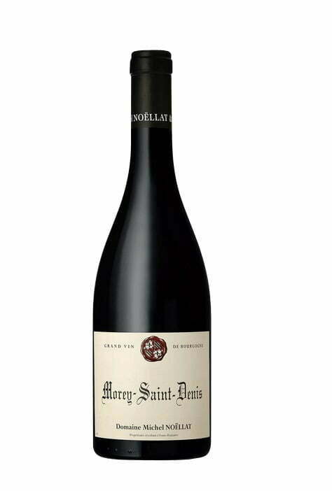 Domaine Michel Noellat Morey Saint Denis 2019 (1x75cl) - TwoMoreGlasses.com