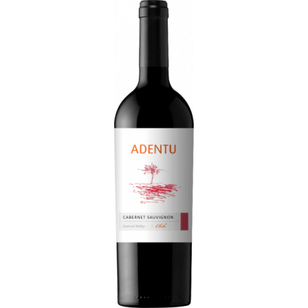 Siegel Adentu Cabernet Sauvignon 2018 (1x75cl) - TwoMoreGlasses.com