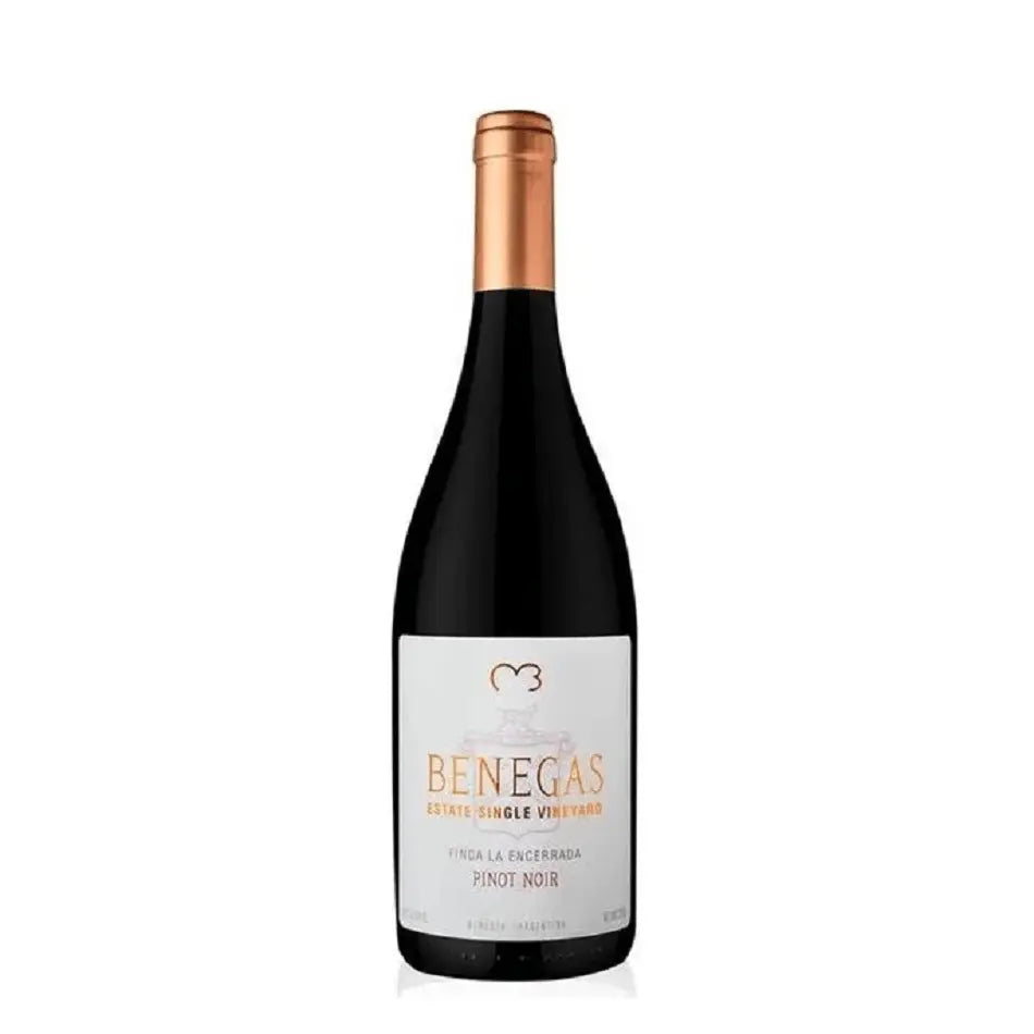 Bodegas Benegas Estate Single Vineyard Pinot Noir 2017 (1x75cl) - TwoMoreGlasses.com
