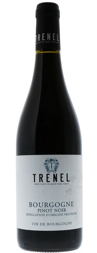 Bourgogne Pinot Noir 2019, Maison Trenel (1x75cl) - TwoMoreGlasses.com