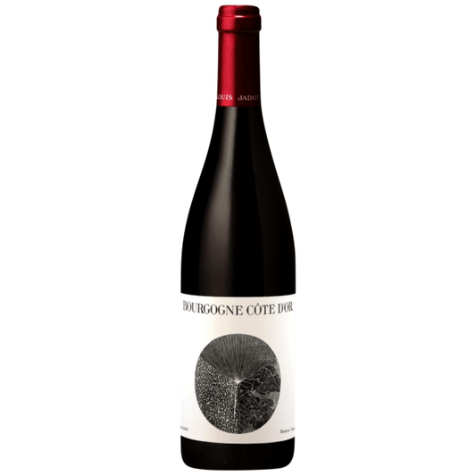 Louis Jadot Bourgogne Cote d'Or 2020 (1x75cl) - TwoMoreGlasses.com