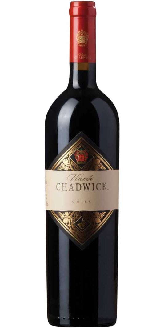 Vinedo Chadwick 2011 Double Magnum (1x300cl) - TwoMoreGlasses.com