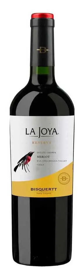 Bisquertt Family Vineyards La Joya Merlot Reserve 2020 (1x75cl) - TwoMoreGlasses.com