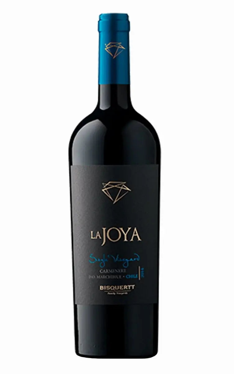 Bisquertt Family Vineyards La Joya Single Vineyard Carmenere 2020 (1x75cl) - TwoMoreGlasses.com