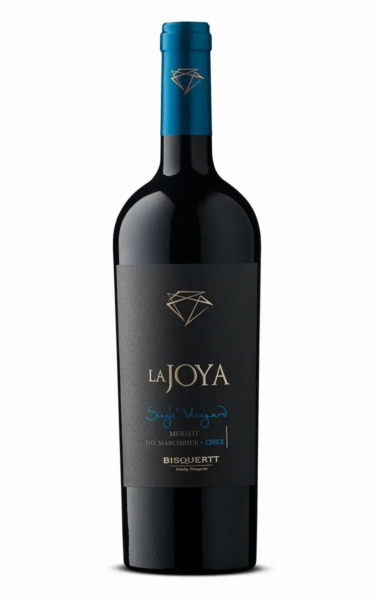 Bisquertt Family Vineyards La Joya Single Vineyard Merlot 2017 (1x75cl) - TwoMoreGlasses.com