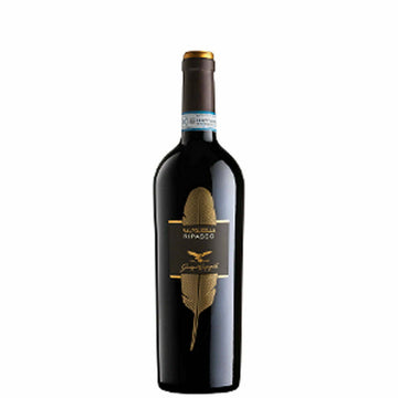 Giuseppe Campagnola Valpolicella Ripasso Classico Superiore DOC 2018 (1x75cl) - TwoMoreGlasses.com